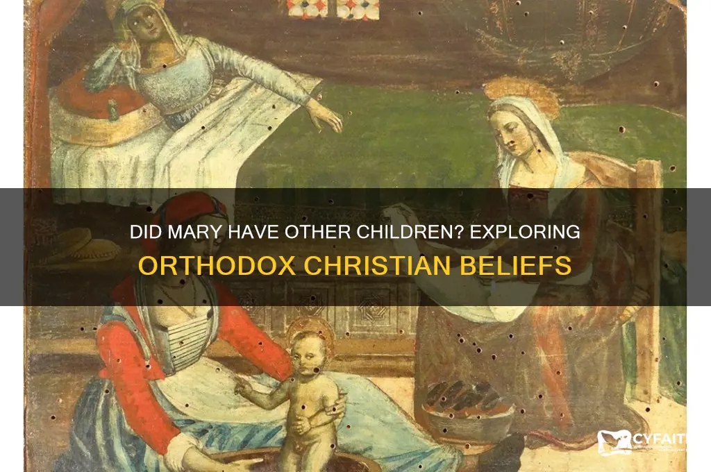 do the orthodox believe mary had other children