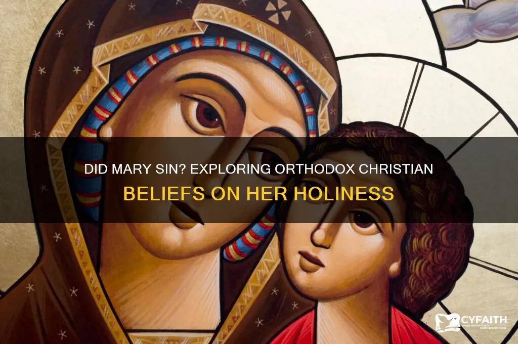 do the orthodox believe mary sinned