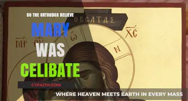 Was Mary Celibate? Exploring Orthodox Christian Beliefs and Traditions