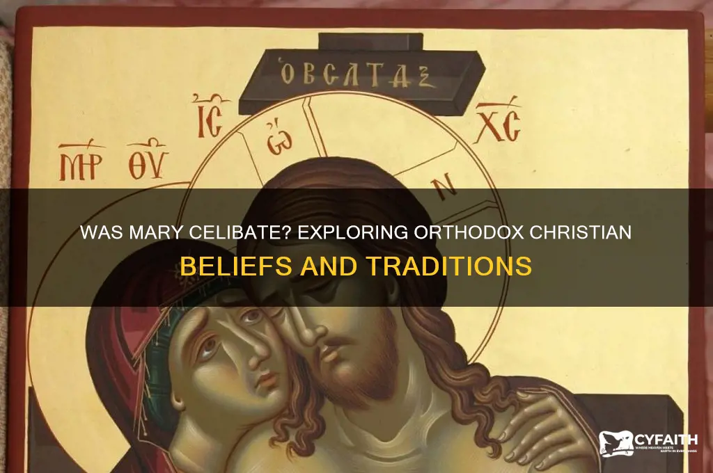 do the orthodox believe mary was celibate