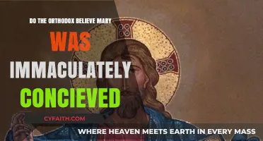 Was Mary Immaculately Conceived? Exploring Orthodox Christian Beliefs