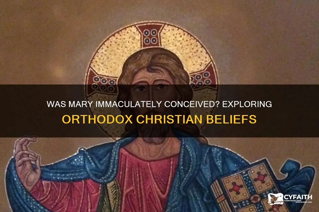 do the orthodox believe mary was immaculately concieved