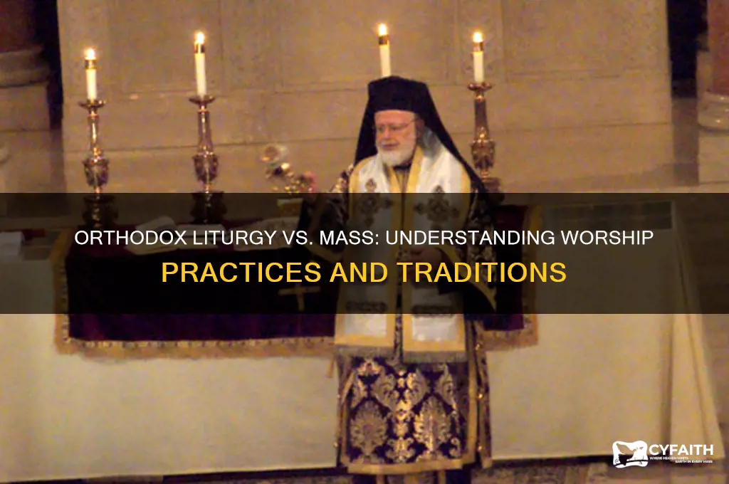 do the orthodox celebrate the mass