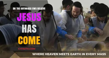 Orthodox Jewish Perspective: Has Jesus Arrived as the Messiah?