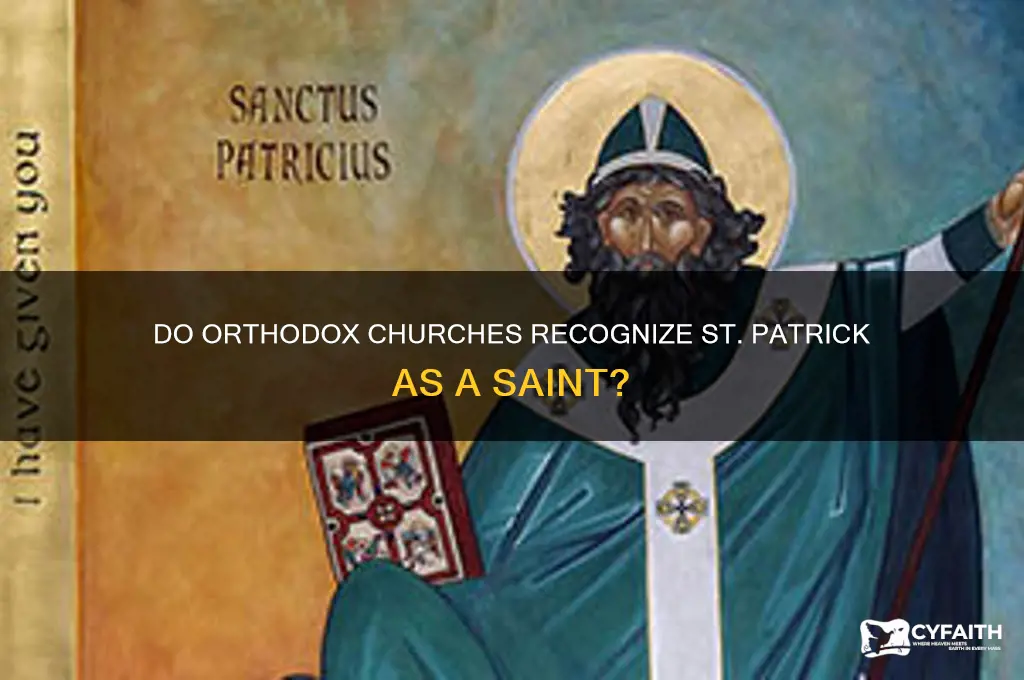 do the orthodox recongize st partick