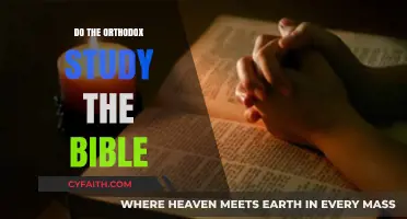 Orthodox Bible Study: Exploring Scripture in Eastern Christian Tradition