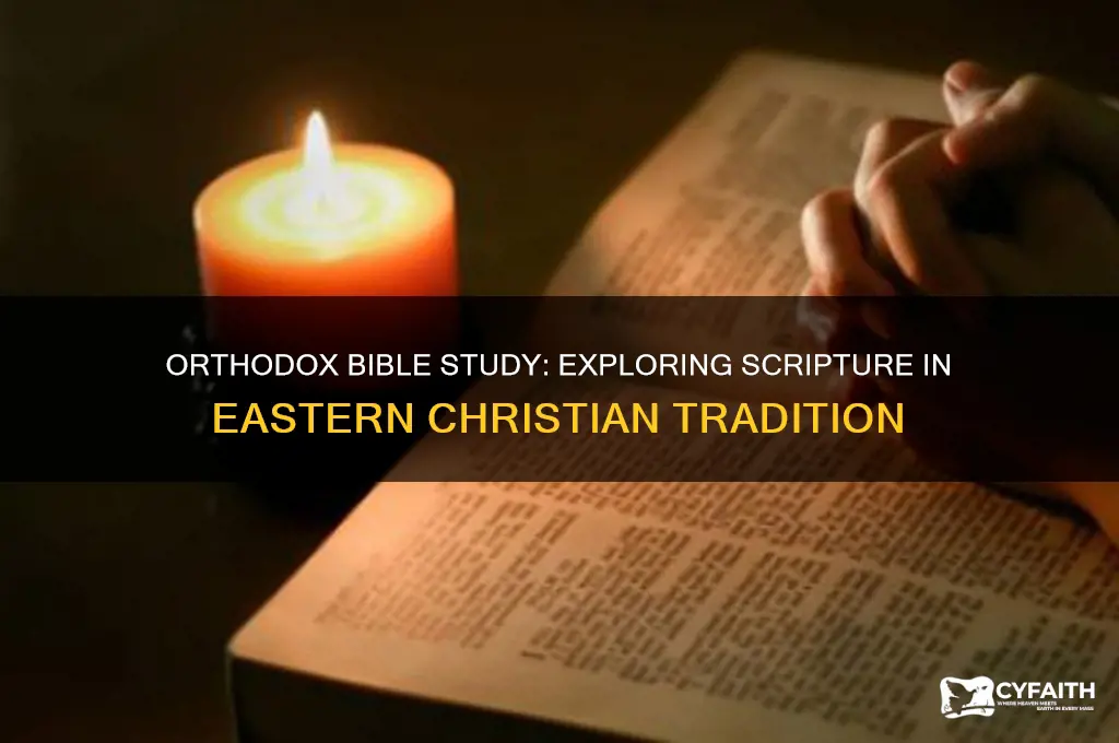 do the orthodox study the bible