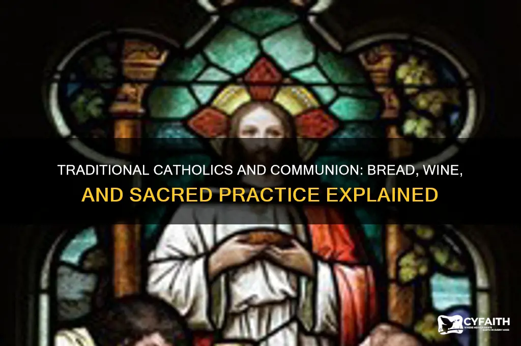 do traditional catholics drink the bread and the wine