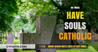 Do Trees Have Souls? Exploring Catholic Perspectives on Nature's Spirit