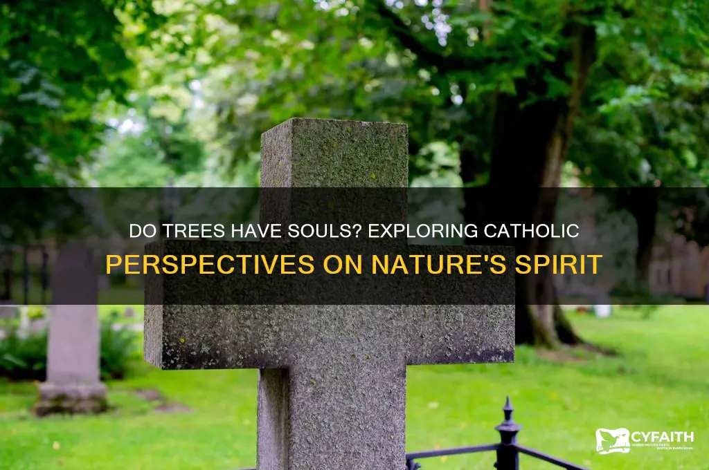 do trees have souls catholic