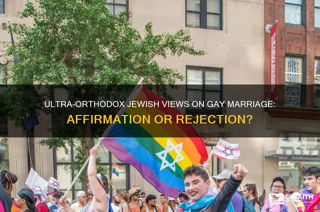 do ultra orthodox jews affirm gay marriage