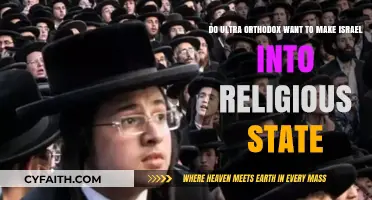 Ultra-Orthodox Influence: Shaping Israel's Future as a Religious State?