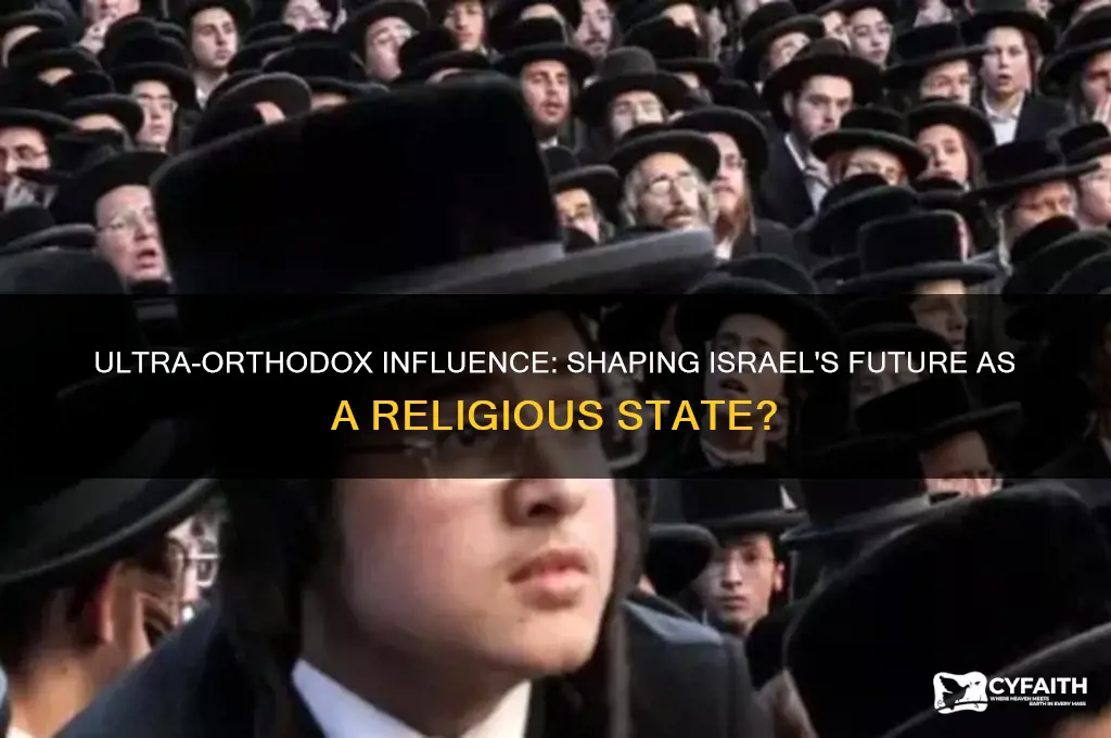 do ultra orthodox want to make israel into religious state