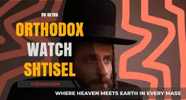 Do Ultra-Orthodox Jews Watch Shtisel? Exploring the Cultural Divide