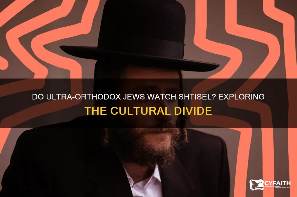 do ultra orthodox watch shtisel