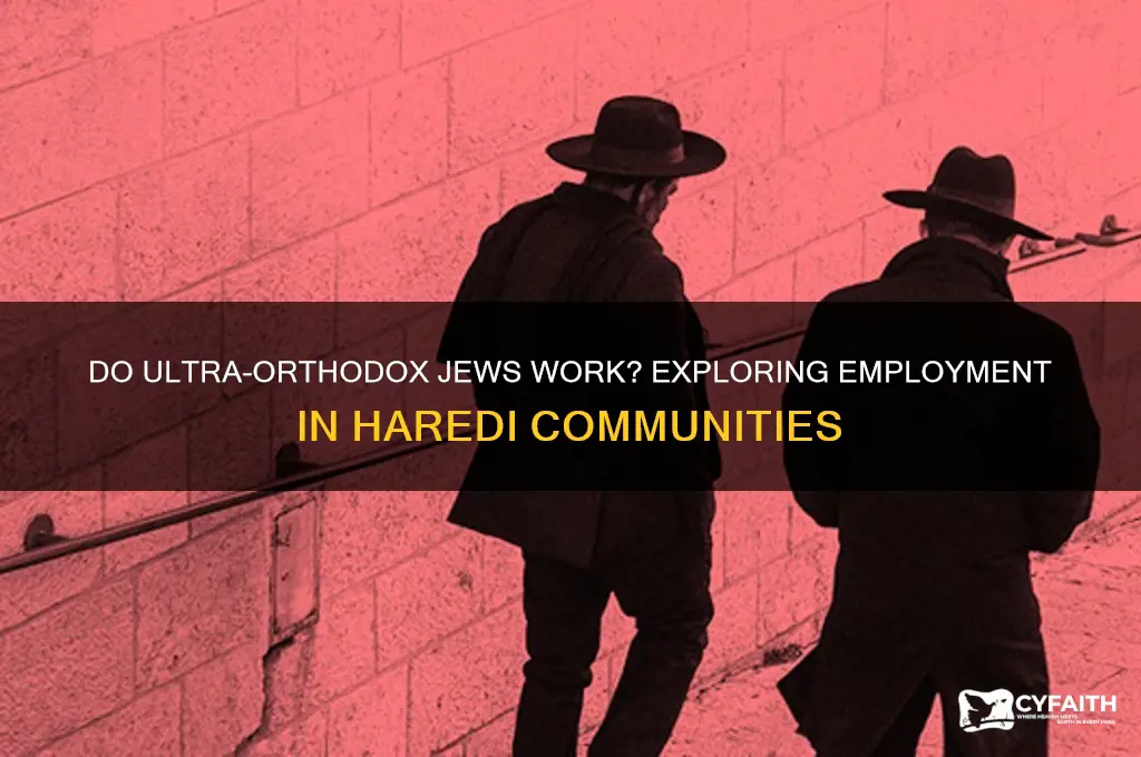 do ultra orthodox work
