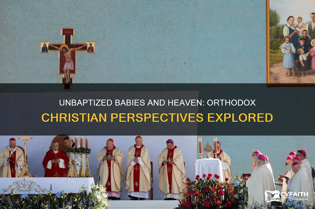 do unbaptized babies go to heaven orthodox