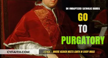 Unbaptized Catholic Babies: Purgatory or Paradise?