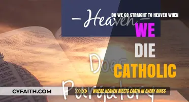Catholic Beliefs: Do We Go Straight to Heaven After Death?