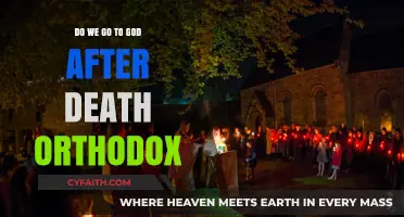 Orthodox Beliefs: Do We Go to God After Death?
