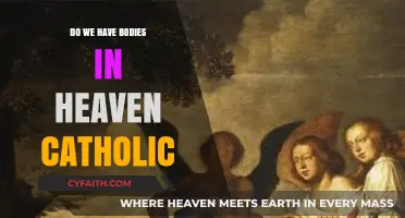 What Happens to Our Bodies in Heaven?