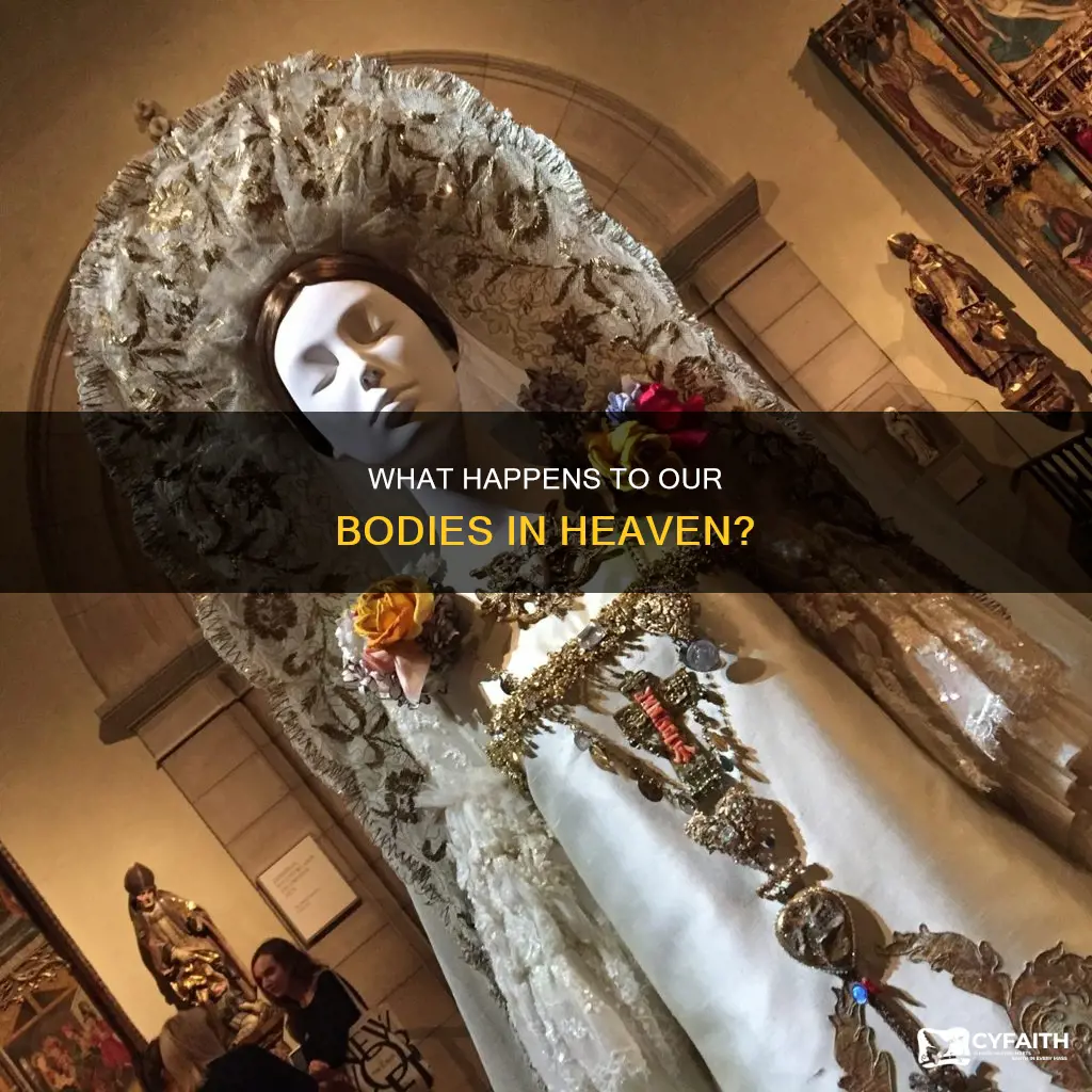 do we have bodies in heaven catholic
