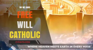 The Catholic Conundrum: Free Will and Divine Plan