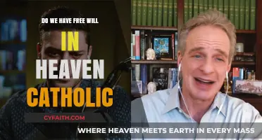 The Catholic View of Free Will in Heaven
