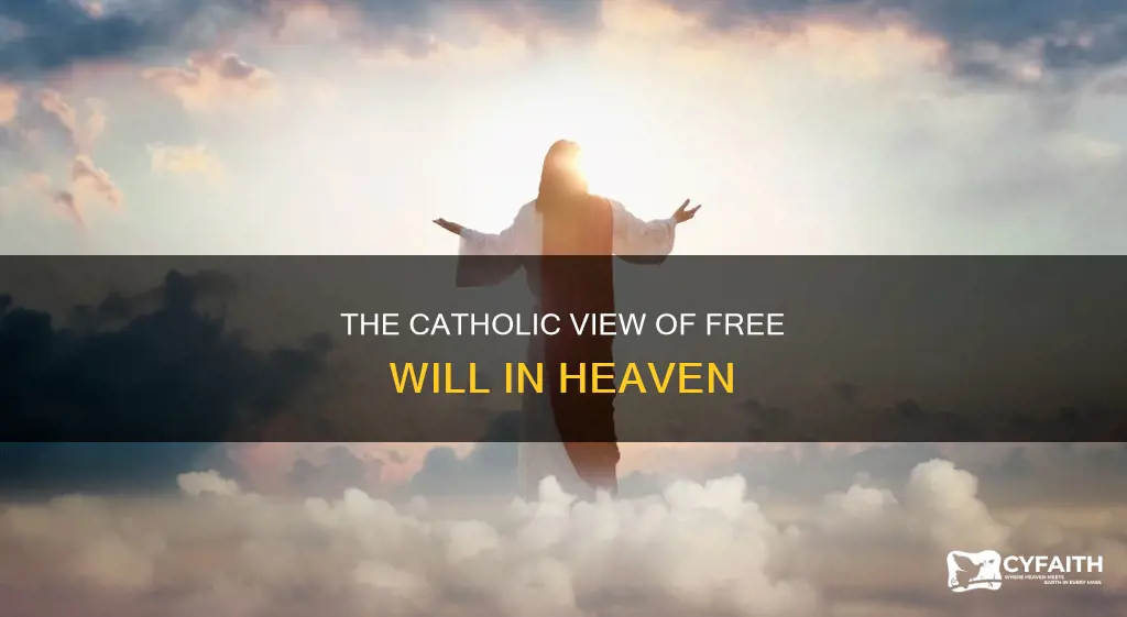 do we have free will in heaven catholic