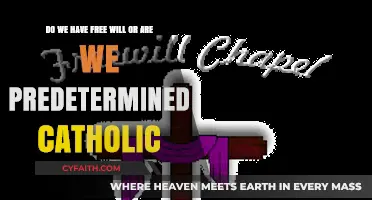 Catholic Perspectives: Free Will vs. Predestination – Exploring Divine Determinism