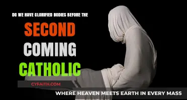 Catholic Teaching on Glorified Bodies Before Christ's Second Coming
