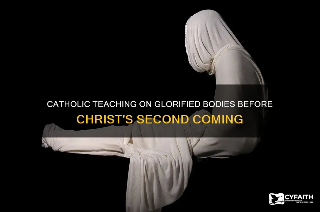 do we have glorified bodies before the second coming catholic