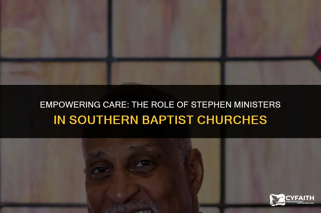 do we need southern baptist churches utilize stephen ministers