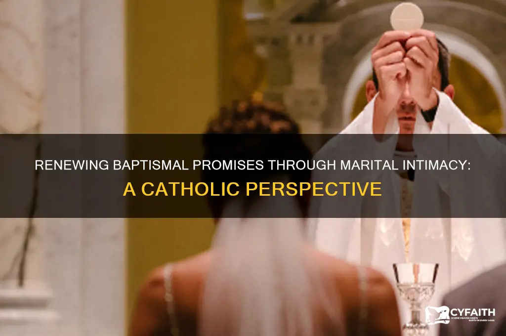 do we renew our baptism promises during sex catholic