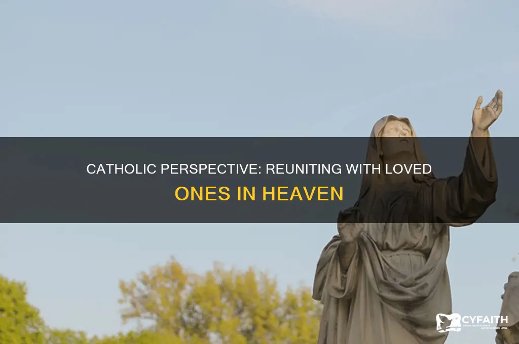 do we see our loved ones in heaven catholic