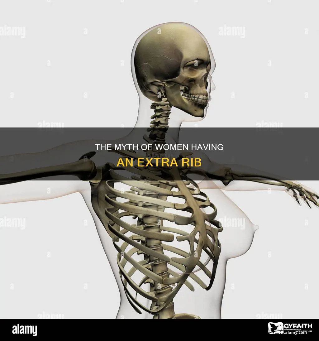 do women have an extra rib catholic