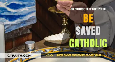 Baptism and Salvation: A Catholic Perspective on Eternal Life