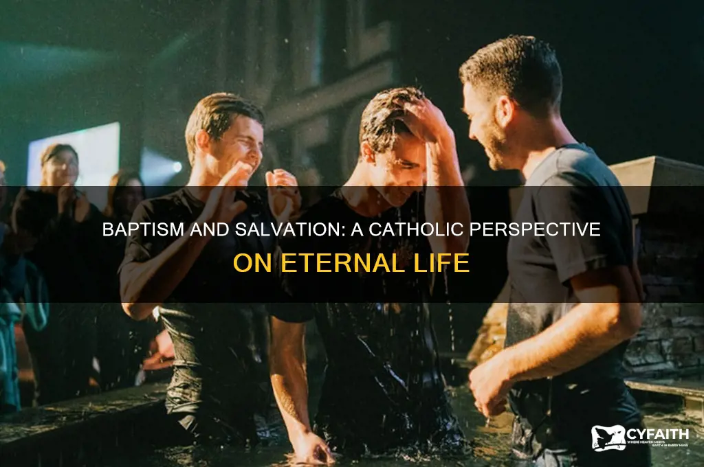 do you have to be baptized to be saved catholic