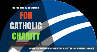 Can Non-Catholics Support or Benefit from Catholic Charities?