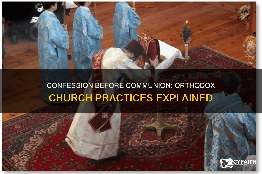do you have to confess before taking communion orthodox church