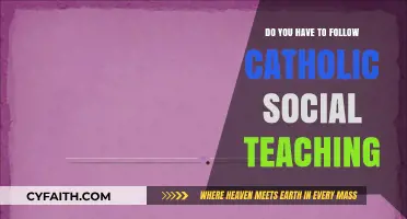 Catholic Social Teaching: A Guide to Following?