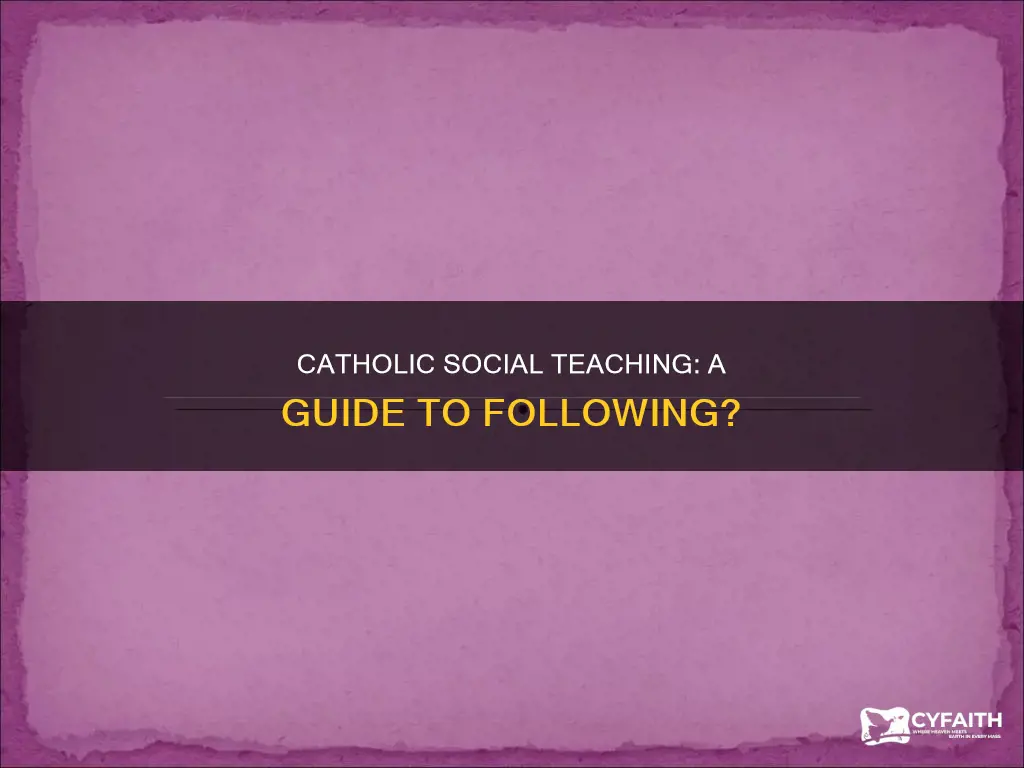 do you have to follow catholic social teaching