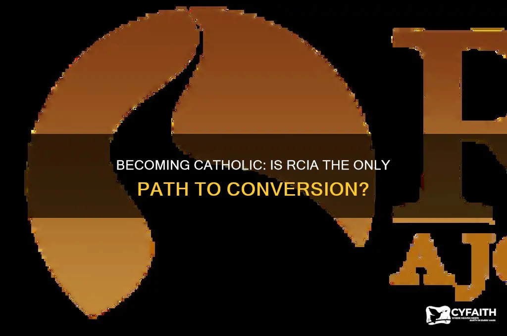 do you have to go through rcia to become catholic
