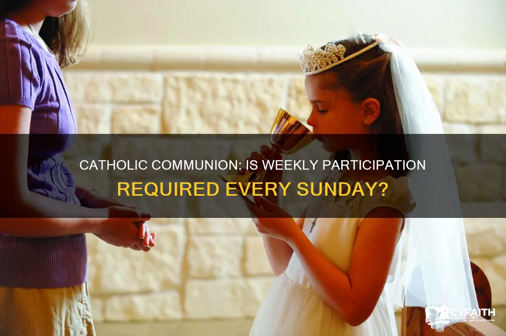do you have to take communion every sunday catholic
