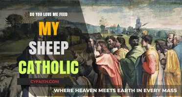 Understanding "Do You Love Me?" Feed My Sheep