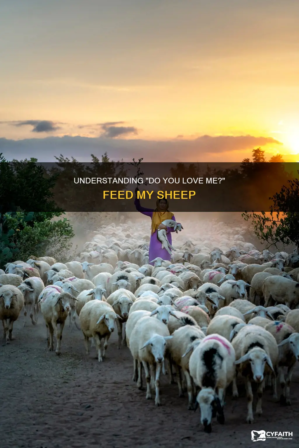 do you love me feed my sheep catholic