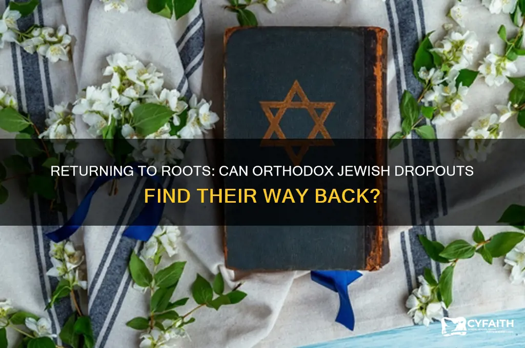 do you orthodox jewish drop outs return
