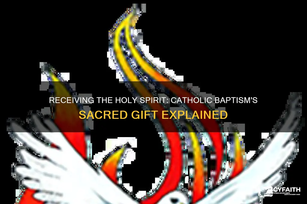 do you receive the holy spirit at baptism catholic