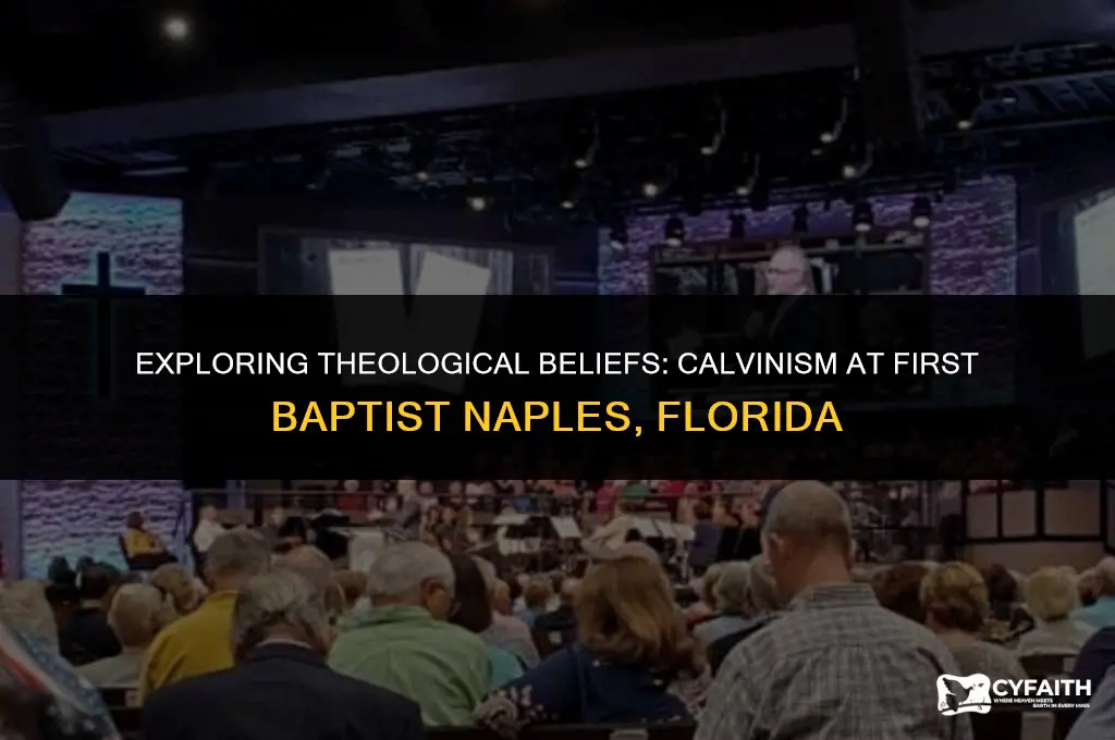 does 1st baptist in naples florida believe in calvinism