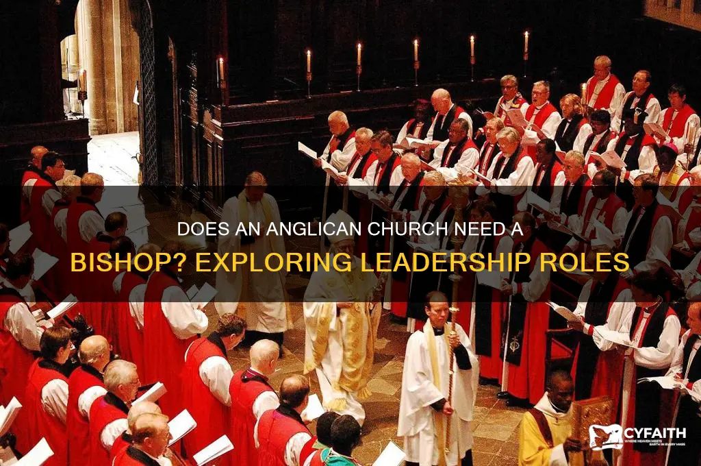 does a anglican church need a bishop